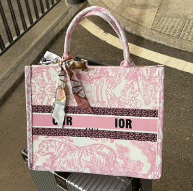 Inspired Dior Handbag